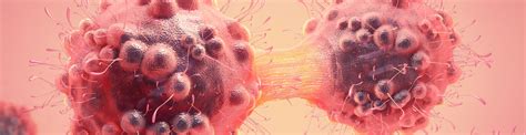 Image result for Cancer Detection Using Graph CNN