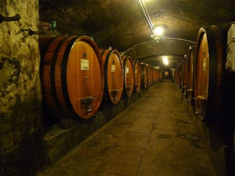 8 Best Wine Tours of Livorno - Hellotickets