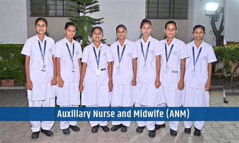 ANM Nursing