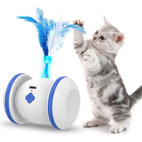 Buy LiieyPet Cat Toys for Indoor Cats Interactive Cat Toy with 3 ...