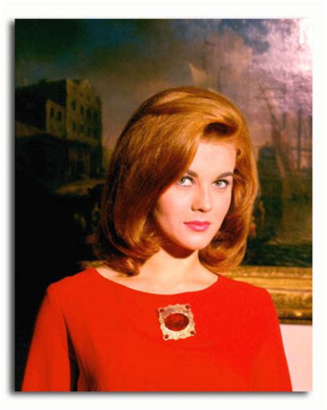 (SS3335852) Movie picture of Ann-Margret buy celebrity photos and ...