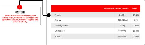 Enhanced Premium Whey – Enhanced Labs India