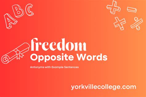 What Is The Opposite of Freedom? - Example Sentences