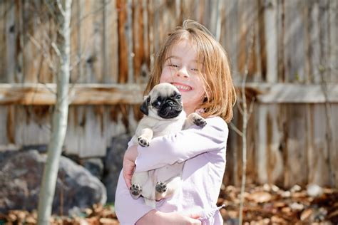 Are Dogs Like Kids