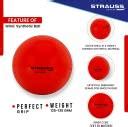 Strauss Wind Ball | Premium Cricket PVC Balls | Light Weight | Soft ...