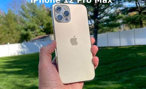 iPhone 12 Pro Max 的图像结果
