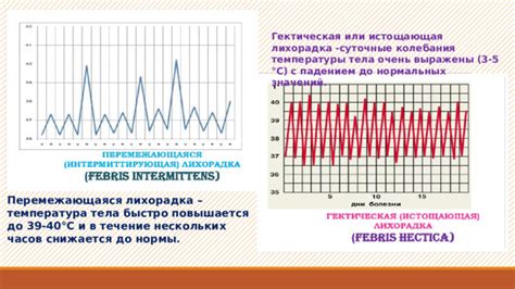 Организация сестринского процесса в уходе за лихорадящими
