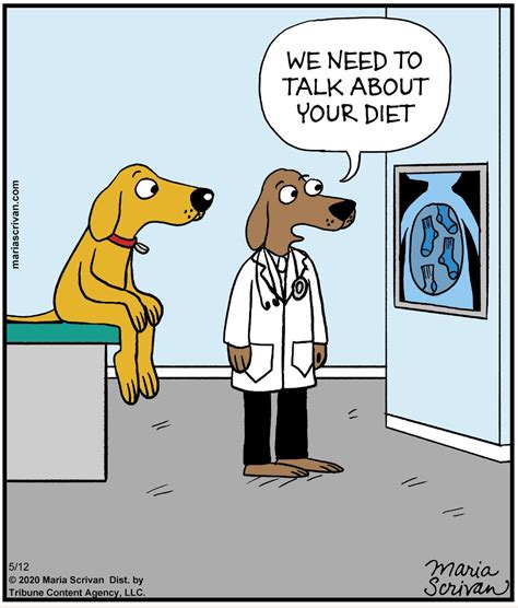 Dog Funny Cartoon