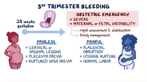 Video: Approach to third trimester bleeding: Clinical sciences | Osmosis