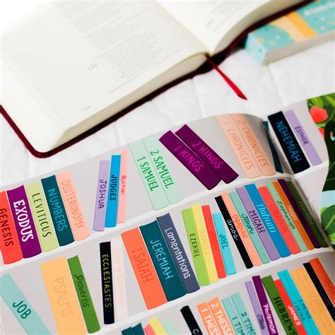 Sophia Gets a Bible - Children's Book – The Daily Grace Co.