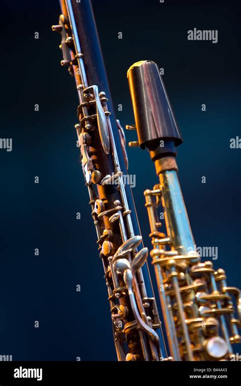 Image result for Clarinet