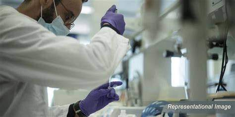 Explainer / Shigella infection | health | bacteria | shigella