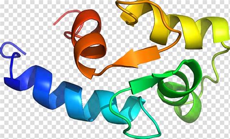 Logo Design Transparent Background 的图像结果