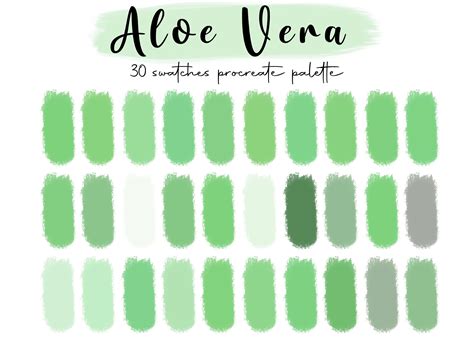 Aloe Vera Procreate Palette, 30 Colors for Digital Illustrations