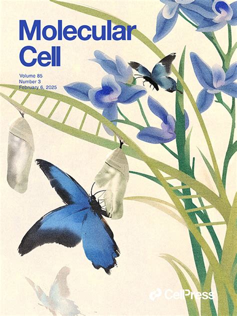 Engineering Journal 的图像结果