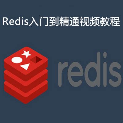 Redis入门到精通视频教程下载_IT营