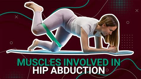 Hip Abductor Machine Muscles Used