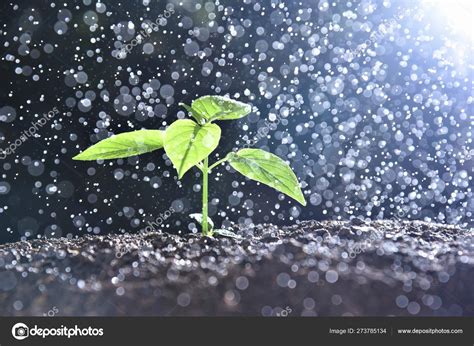 Drizzle 的图像结果