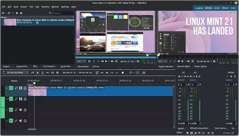 Open Source Video Editing 的图像结果