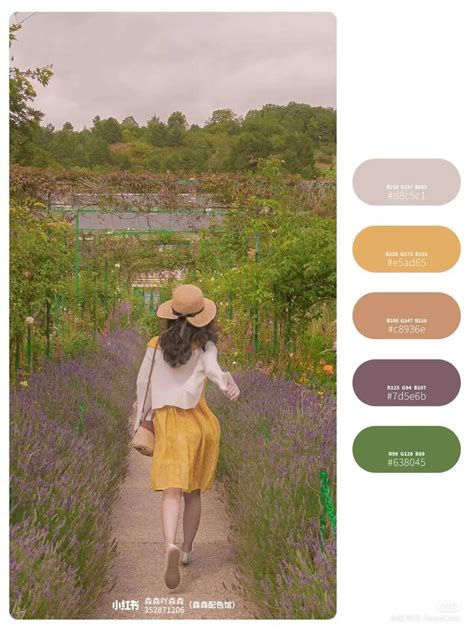 Color Schemes 的图像结果