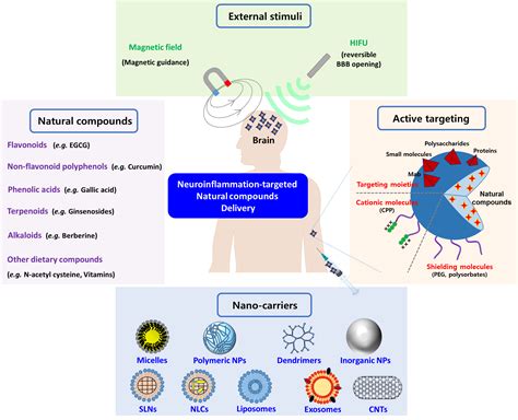 The Role of Natural Compounds and their Nanocarriers in the Treatment ...
