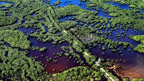 Florida: »Alligator Alcatraz« soll Migranten in Sumpflandschaft internieren