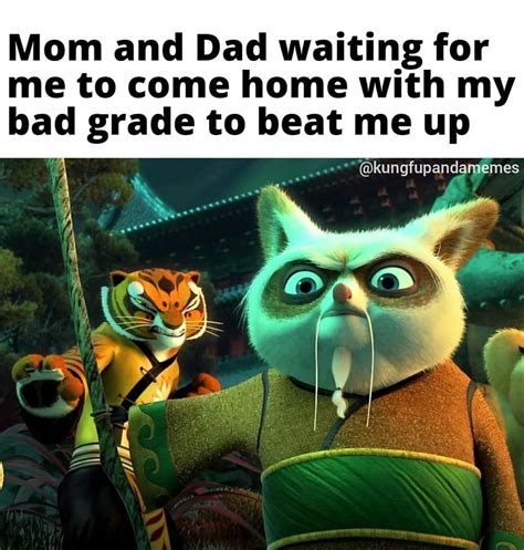 Kung Fu Panda Meme on Instagram: “They'll skadoosh the heck out of me ...