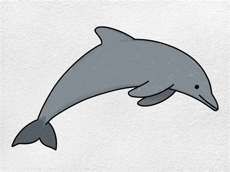 How to Draw a Dolphin - Galvez Ourthe