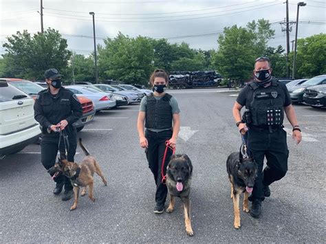 Trained Protection Dogs 的图像结果