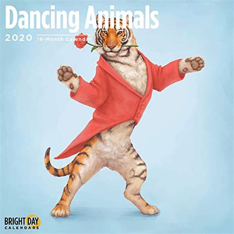 Buy Dancing Animals Calendar 2020 Book Online at Low Prices in India ...