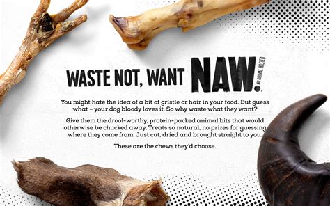 NAW Pet Food Brand | Pet Food Design | Robot Food