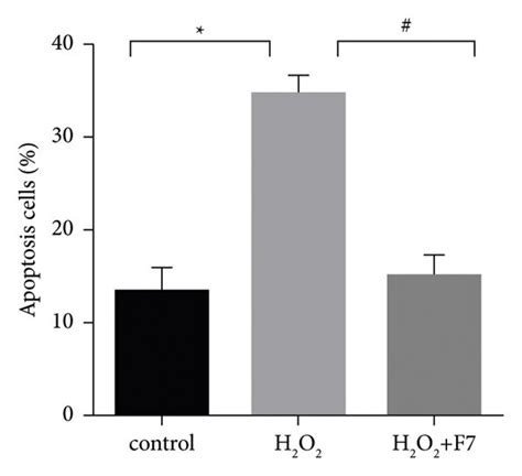 H2O2 Apoptosis 的图像结果