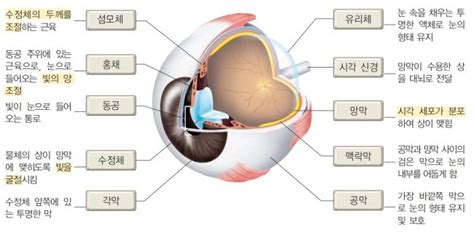 Image result for Alien Lens Sunglasses