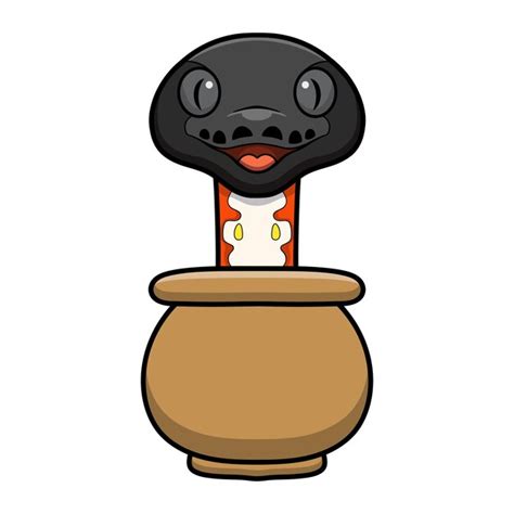 Image result for Red Pet Python