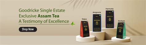 India's Finest Teas - Procured straight from own Tea Gardens