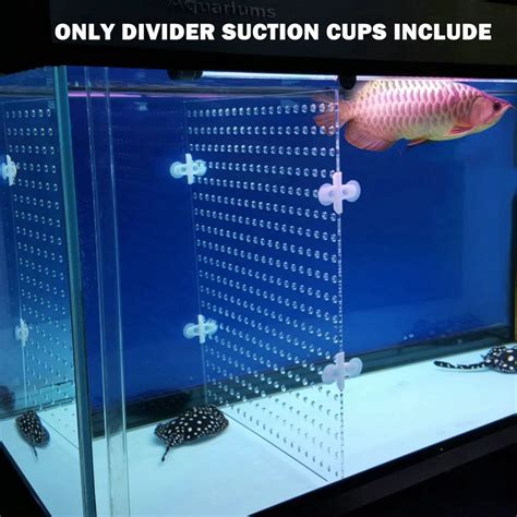 Aquarium Acrylic Divider Full Holes With 4pcs Suction Cup Free For ...