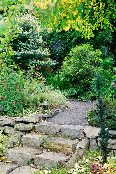 Nature Plant 的图像结果