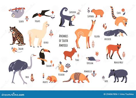 Set of South American Animals with Floral Elements and Captions. Simple ...
