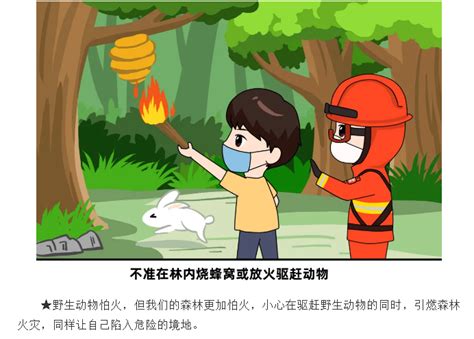 森林防火，我们能做些什么呢？-广东省应急管理厅网站