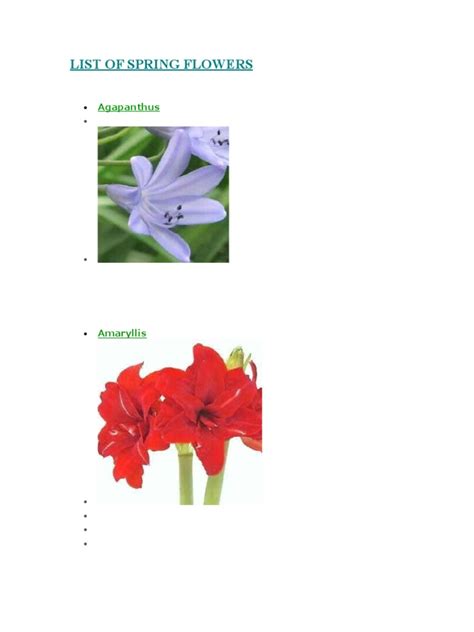 List of Spring Flowers | PDF