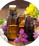 Image result for Essential Oil PNG