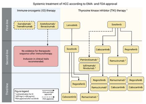 Pathogenesis and Current Treatment Strategies of Hepatocellular Carcinoma