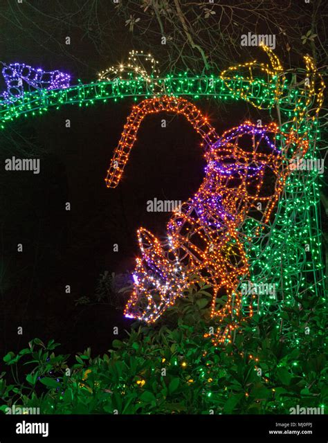 Woodland Park Zoo Lights Seattle at Mara Marr blog