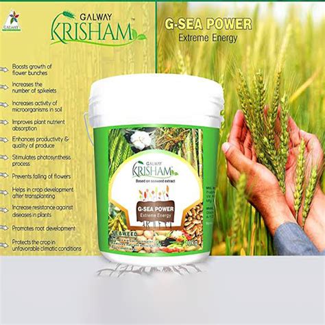 GrainX | Shop Detail