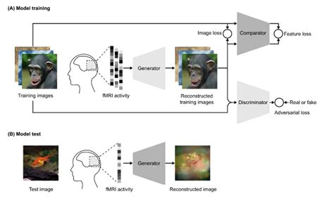 Reading Machine Phase 2 的图像结果