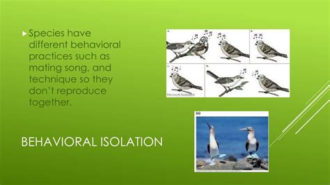 PPT - Evolution PowerPoint Presentation, free download - ID:503582