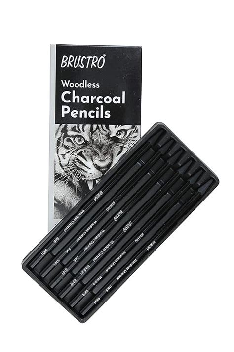 BRUSTRO Woodless Charcoal Pencils | Set of 6 (3 Soft, 2 Medium, 1 Hard ...