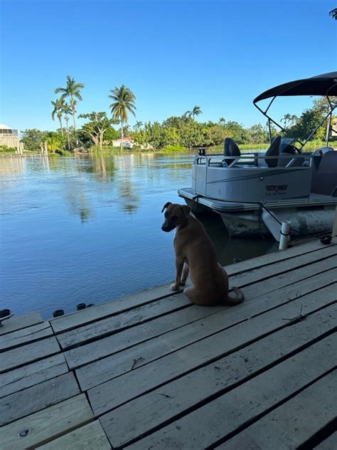 RIVER BEND RESORT B&B (Belize/Belize City) - Lodge Reviews, Photos ...