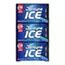 Dentyne Ice Peppermint Gum, 12 pk./16 ct. | BJ's Wholesale Club