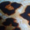 1. Look at the given picture (Fig. B) and answer the questions. (a ...